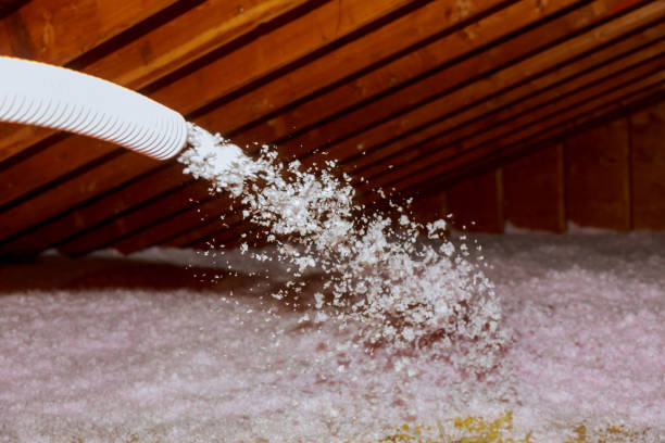 Best Spray Foam Insulation in Valley View, OH