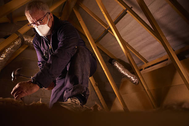 Best Insulation Maintenance and Repair in Valley View, OH