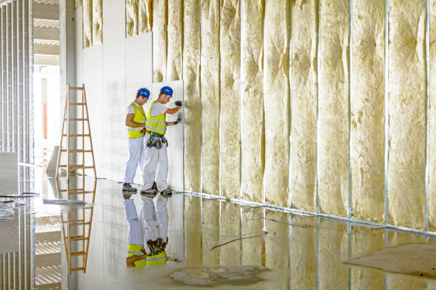 Best Cellulose Insulation in Valley View, OH